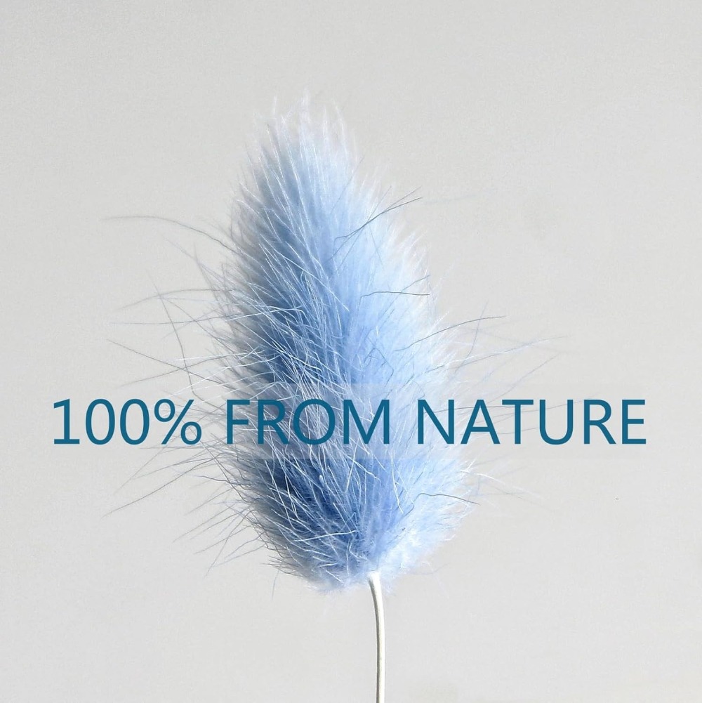 100PCS 블루 토끼 꼬리 잔디 토끼 꼬리 홈 룸 생 - Art Craft Vase 리뷰 및 가격